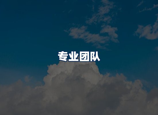 专业团队